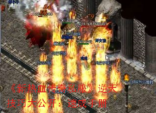 《新热血传奇私服》逆天技巧大公开:速成手册 《新热血传奇私服》逆天技巧大公开:速成手册