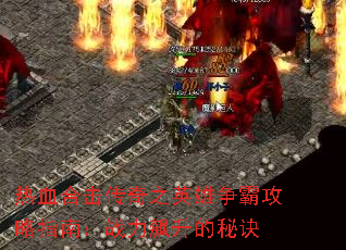 ��Ѫ�ϻ�����֮Ӣ�����Թ���ָ�ϣ�ս��������ؾ�