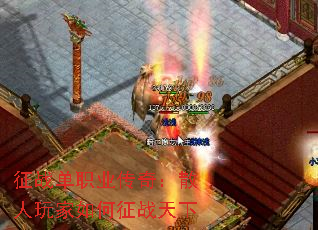 ��ս��ְҵ���棺ɢ����������ս����