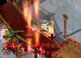 征战金牛传奇,攻略秘笈揭晓:新手必看,老手进阶 征战金牛传奇,攻略秘笈揭晓:新手必看,老手进阶