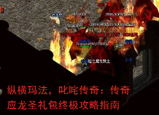 �ݺ��귨��߳�崫�棺����Ӧ��ʥ����ռ�����ָ��