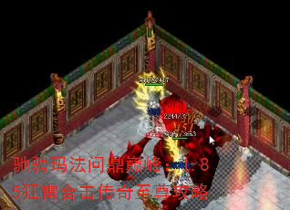 驰骋玛法问鼎巅峰:1.85狂雷合击传奇至尊攻略 驰骋玛法问鼎巅峰:1.85狂雷合击传奇至尊攻略