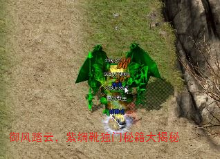 御风踏云,紫绸靴独门秘籍大揭秘 御风踏云,紫绸靴独门秘籍大揭秘