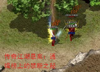 传奇江湖悬案:通缉榜上的禁断之秘 传奇江湖悬案:通缉榜上的禁断之秘