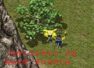 《传奇》红名净化卡:洗脱满身罪孽,重归光明之路 《传奇》红名净化卡:洗脱满身罪孽,重归光明之路