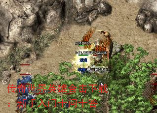 传奇世界英雄合击下载:新手入门十问十答 传奇世界英雄合击下载:新手入门十问十答