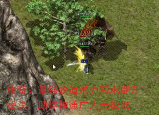 传奇:最强效道术力药水提升秘诀,助你神通广大无极限 传奇:最强效道术力药水提升秘诀,助你神通广大无极限
