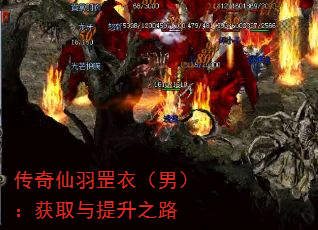 传奇仙羽罡衣(男):获取与提升之路 传奇仙羽罡衣(男):获取与提升之路