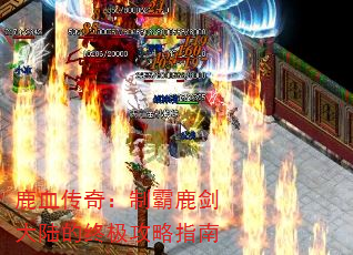 ¹Ѫ���棺�ư�¹����½���ռ�����ָ��