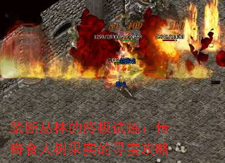 禁断丛林的终极试炼:传奇食人树果实的寻宝攻略 禁断丛林的终极试炼:传奇食人树果实的寻宝攻略