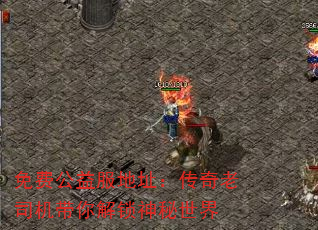 免费公益服地址:传奇老司机带你解锁神秘世界 免费公益服地址:传奇老司机带你解锁神秘世界