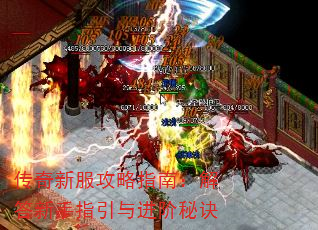�����·�����ָ�ϣ��������ָ��������ؾ�