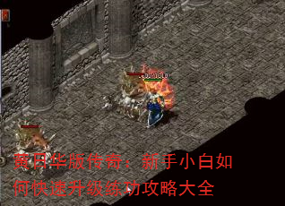 ���ջ��洫�棺����С����ο��������������Դ�ȫ