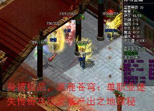 身披极品,逐鹿苍穹:单职业迷失传奇高级装备产出之地探秘 身披极品,逐鹿苍穹:单职业迷失传奇高级装备产出之地探秘