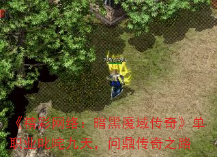 《精彩网络:暗黑魔域传奇》单职业叱咤九天,问鼎传奇之路 《精彩网络:暗黑魔域传奇》单职业叱咤九天,问鼎传奇之路