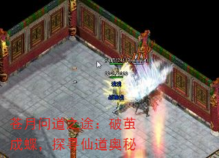 苍月问道之途:破茧成蝶,探寻仙道奥秘 苍月问道之途:破茧成蝶,探寻仙道奥秘