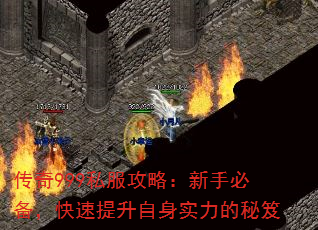 ����999˽�����ԣ����ֱر���������������ʵ��������