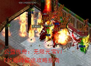 公益传奇:无限元宝VIP的巅峰征途攻略指南 公益传奇:无限元宝VIP的巅峰征途攻略指南