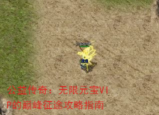 公益传奇:无限元宝VIP的巅峰征途攻略指南 公益传奇:无限元宝VIP的巅峰征途攻略指南