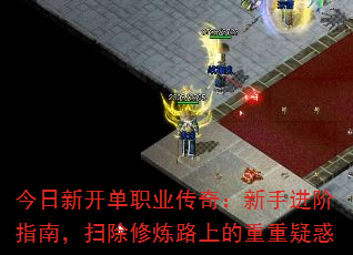 �����¿���ְҵ���棺���ֽ���ָ�ϣ�ɨ������·�ϵ������ɻ�