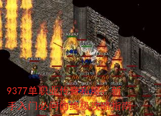 9377单职业传奇私服:新手入门必问的终极攻略指南 9377单职业传奇私服:新手入门必问的终极攻略指南