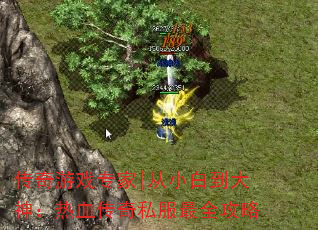 传奇游戏专家|从小白到大神:热血传奇私服最全攻略 传奇游戏专家|从小白到大神:热血传奇私服最全攻略