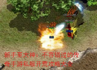 ���������񣺲��ݴ����Ĵ�������˽�����Ĺ��Դ�ȫ