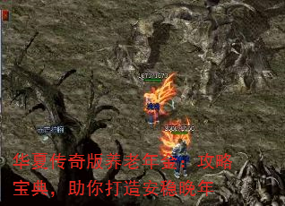 华夏传奇版养老年金:攻略宝典,助你打造安稳晚年 华夏传奇版养老年金:攻略宝典,助你打造安稳晚年