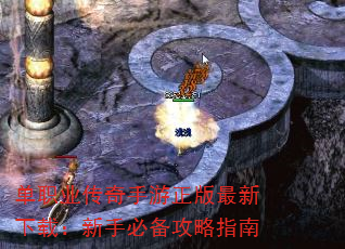 单职业传奇手游正版最新下载:新手必备攻略指南 单职业传奇手游正版最新下载:新手必备攻略指南