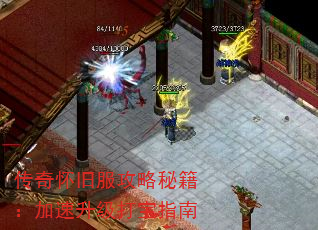 ���滳�ɷ������ؼ�������������ָ��