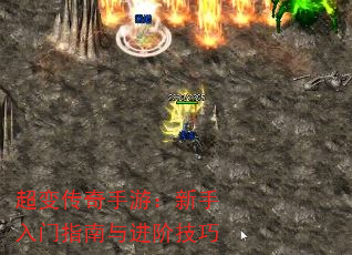 ���䴫�����Σ���������ָ������׼���