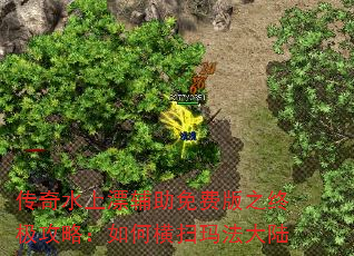 传奇水上漂辅助免费版之终极攻略:如何横扫玛法大陆 传奇水上漂辅助免费版之终极攻略:如何横扫玛法大陆