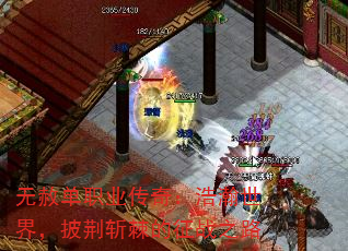 无赦单职业传奇:浩瀚世界,披荆斩棘的征战之路 无赦单职业传奇:浩瀚世界,披荆斩棘的征战之路