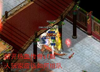 �¿���Ѫ����sfɢ�����Ӧ��������