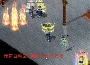 �����Զ���Ѫ����Ҫ����趨