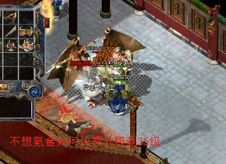 ����봽���ο���������35��