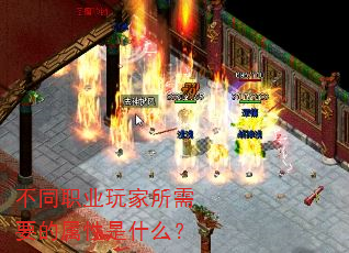 不同职业玩家所需要的属性是什么? 不同职业玩家所需要的属性是什么?