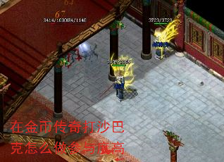 在金币传奇打沙巴克怎么做参与度高 在金币传奇打沙巴克怎么做参与度高