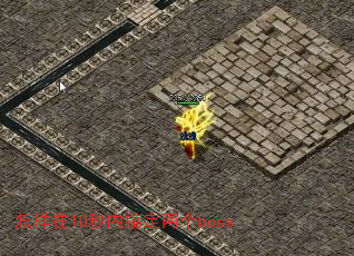 ������10���ڸ㶨����boss