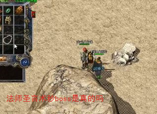 ��ʦʥ������boss�������