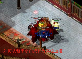 如何从新手小白成长为高级血道 如何从新手小白成长为高级血道