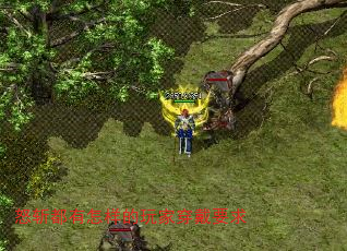 怒斩都有怎样的玩家穿戴要求 怒斩都有怎样的玩家穿戴要求