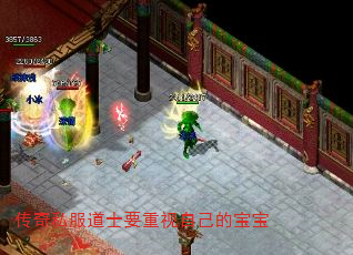 传奇私服道士要重视自己的宝宝 传奇私服道士要重视自己的宝宝