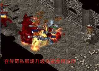 在传奇私服想升级快就要用法师 在传奇私服想升级快就要用法师