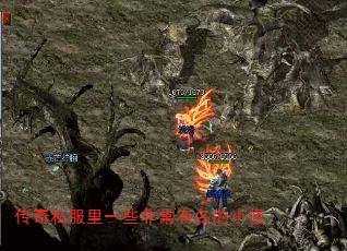 传奇私服里一些非常有名的小怪 传奇私服里一些非常有名的小怪