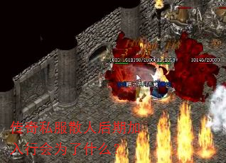 传奇私服散人后期加入行会为了什么? 传奇私服散人后期加入行会为了什么?