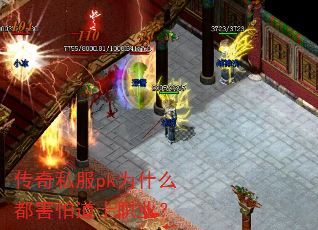 传奇私服pk为什么都害怕道士职业? 传奇私服pk为什么都害怕道士职业?