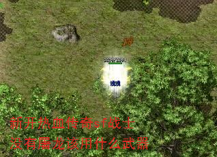 新开热血传奇sf战士没有屠龙该用什么武器 新开热血传奇sf战士没有屠龙该用什么武器