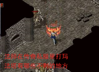 法师在传奇私服里打玛法塔有哪些不利的地方 法师在传奇私服里打玛法塔有哪些不利的地方
