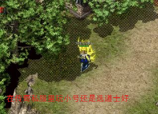 在传奇私服里玩小号还是选道士好 在传奇私服里玩小号还是选道士好